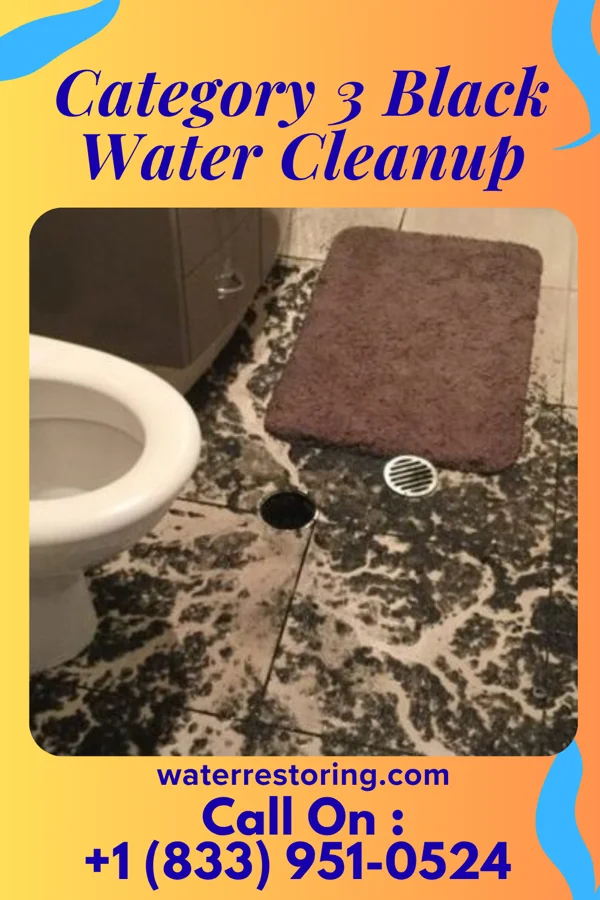 Category 3 Black Water Cleanup in South End, MN